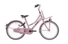 ALDO 20" Cargo Cruiser DS Fiets Roze