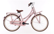 ALDO 24" Cargo Cruiser DS 3V Royal Pink met achterdrager