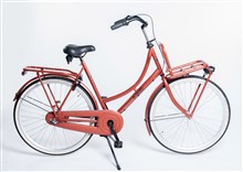 ALDO 28" OPOE Fiets "Cargo" 57cm 3V Red Copper