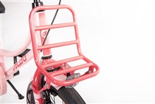 VOORDRAGER 12/16/18" Aldo Luna Roze